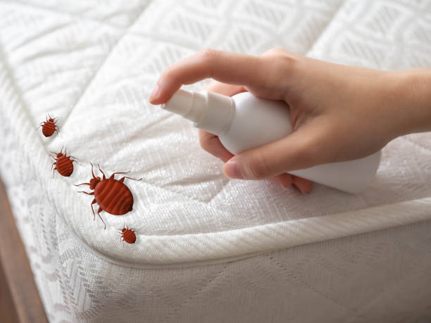 Best Residential Pest Control  in Jan Phyl Village, FL