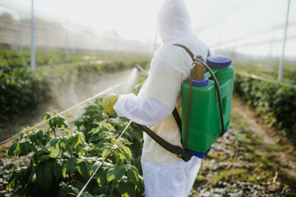 Best Termite Control Services  in Jan Phyl Village, FL